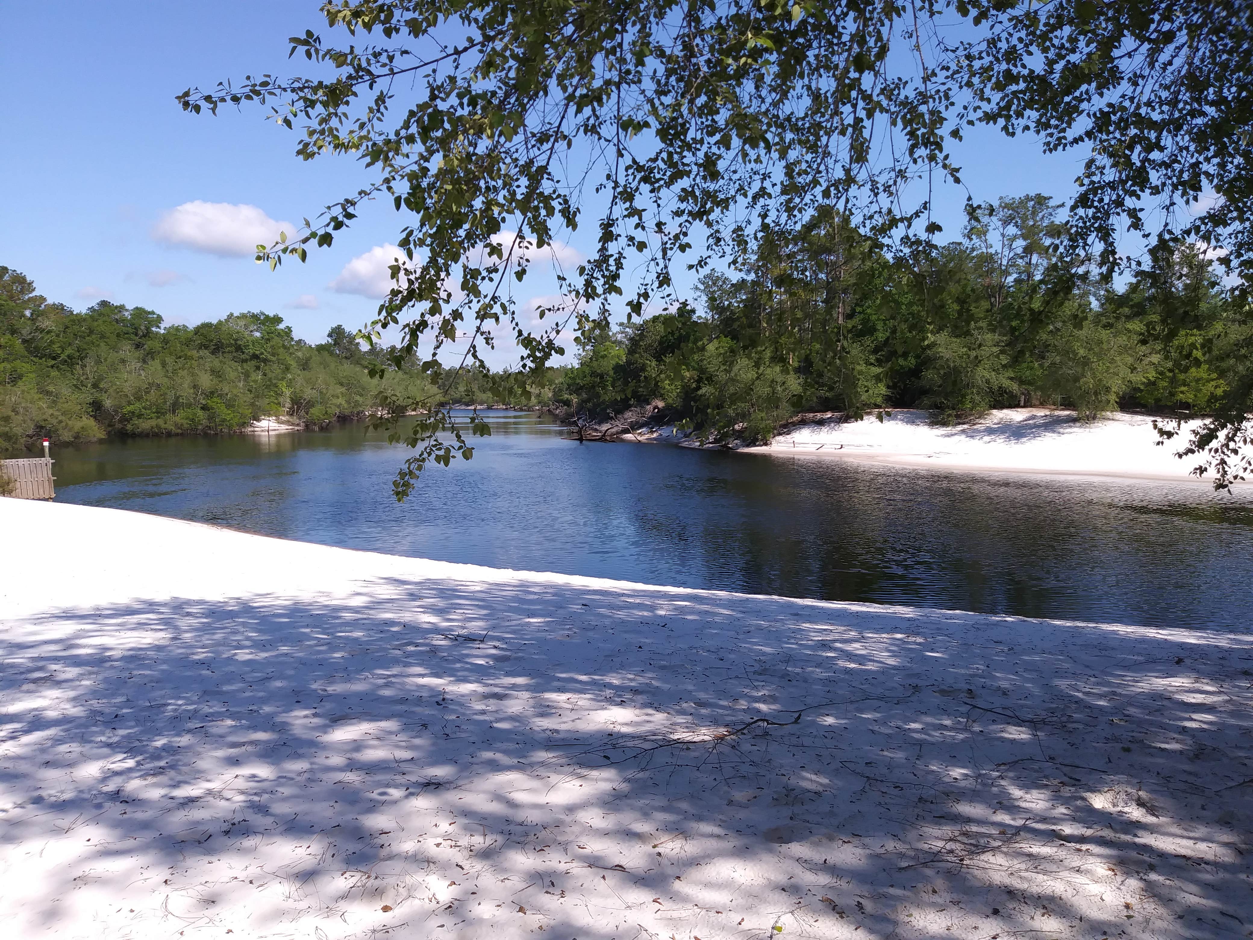 Camper-submitted photo at St Mary's Cove near Sanderson, FL