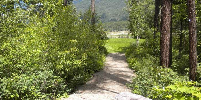 Camper submitted image from South Dickey Lake