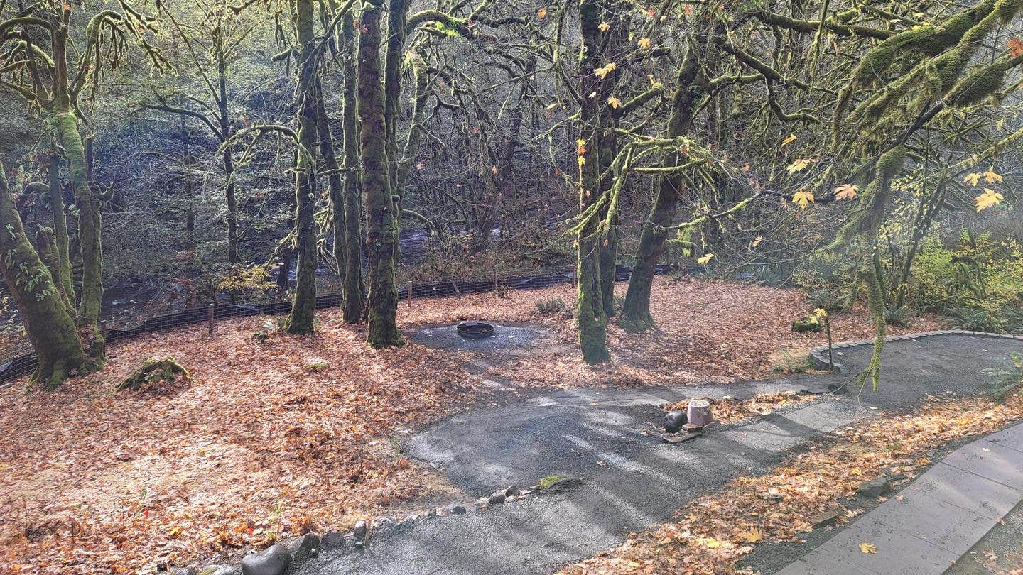 Camper submitted image from Elk Bend Recreation Site - 2