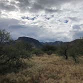 Review photo of Kartchner Caverns State Park Campground by Jen H., April 9, 2019