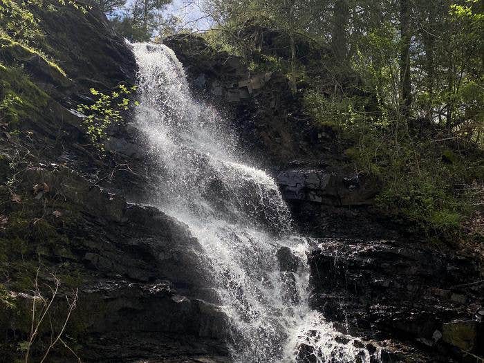 Camper submitted image from Jefferson Ridge - Dierks Lake - 1