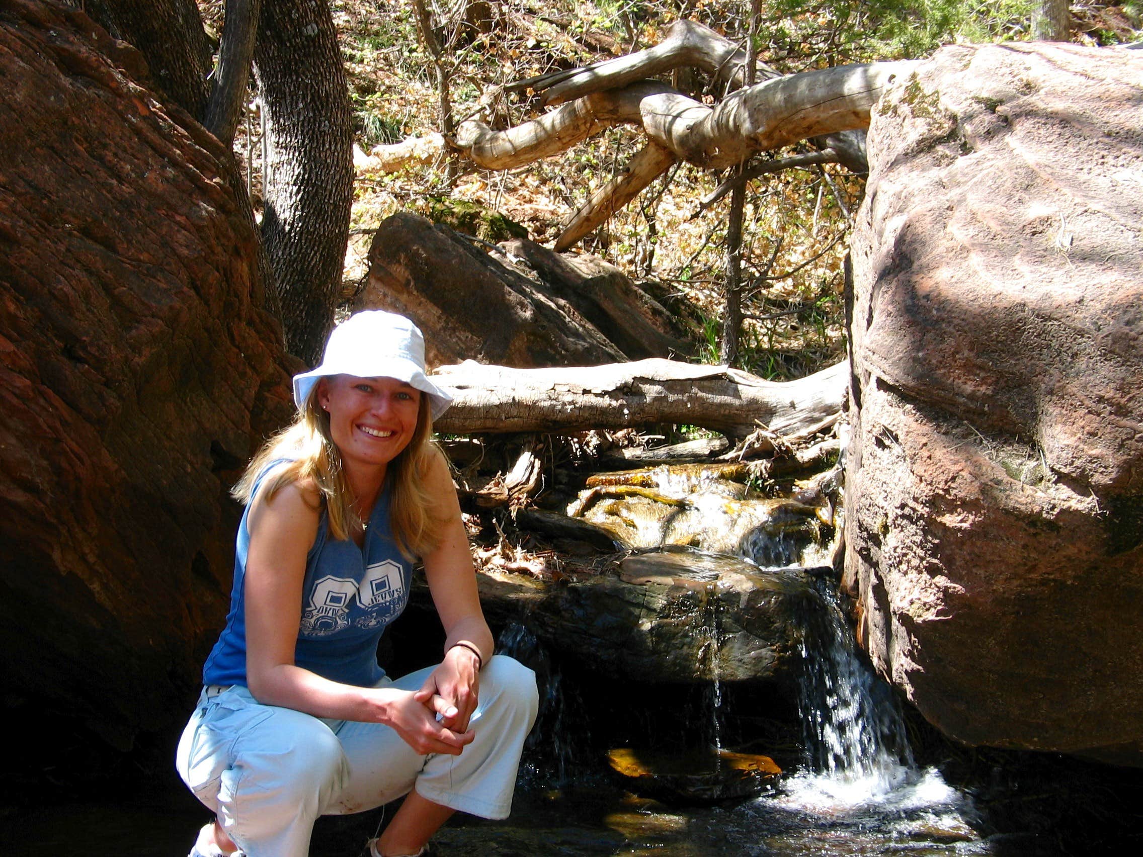 Camper submitted image from Watchman Campground — Zion National Park - 3