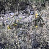 Review photo of Kartchner Caverns State Park Campground by Jen H., April 9, 2019