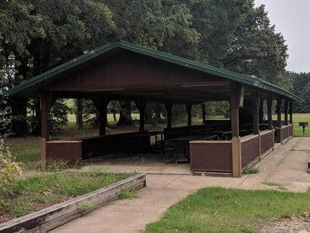 Camper submitted image from Oak Park (Wright Patman Lake) - 1