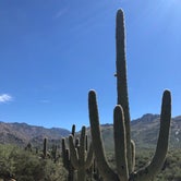 Review photo of Catalina State Park Campground by Jen H., April 9, 2019