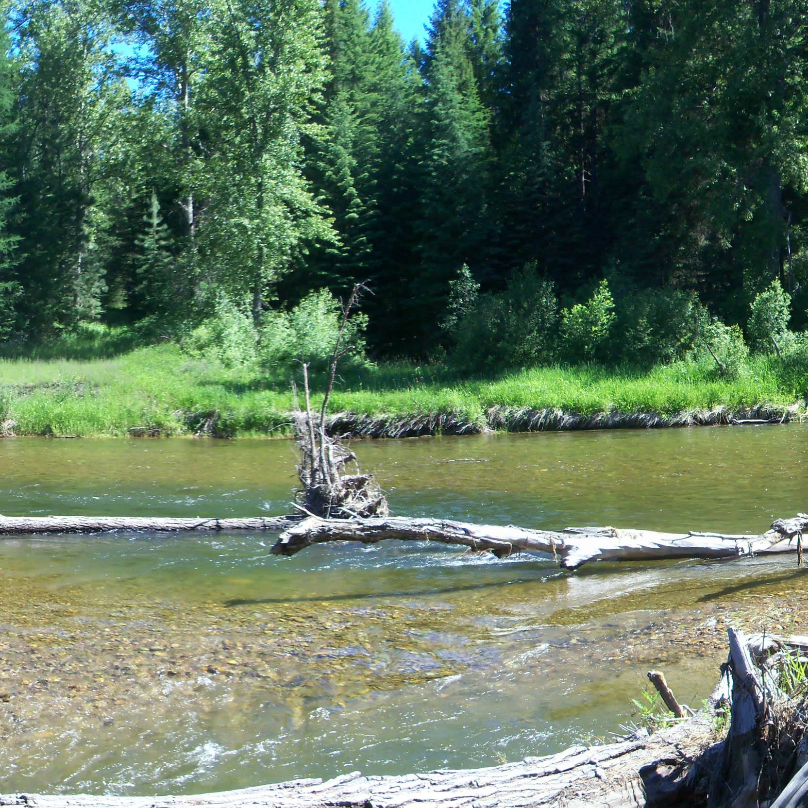 Escape to Serenity: Lake Creek Campground, Montana's Hidden Gem
