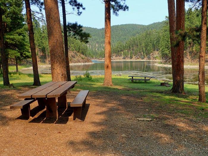Camper submitted image from Black Hills National Forest Bear Gulch Campground - 2