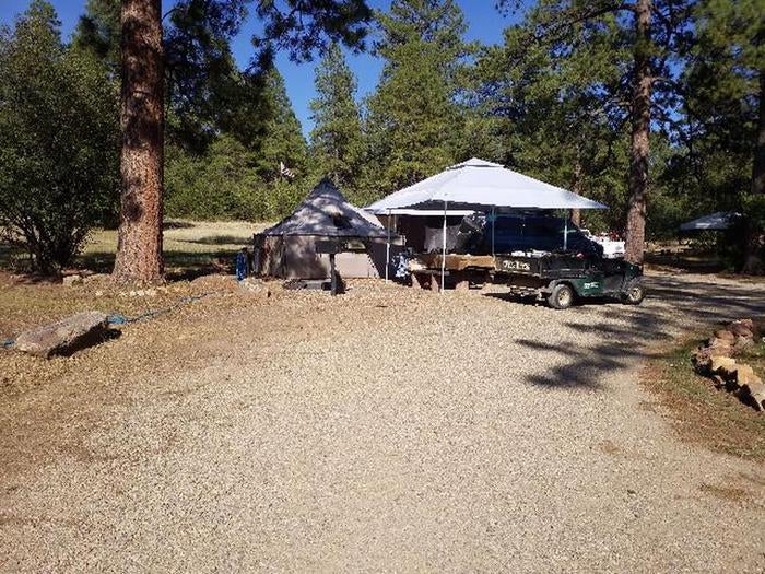 Camper submitted image from Target Tree Campground - 2