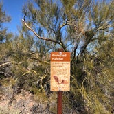 Review photo of Twin Peaks Campground - Organ Pipe Cactus Nat Monument by Jen H., April 9, 2019