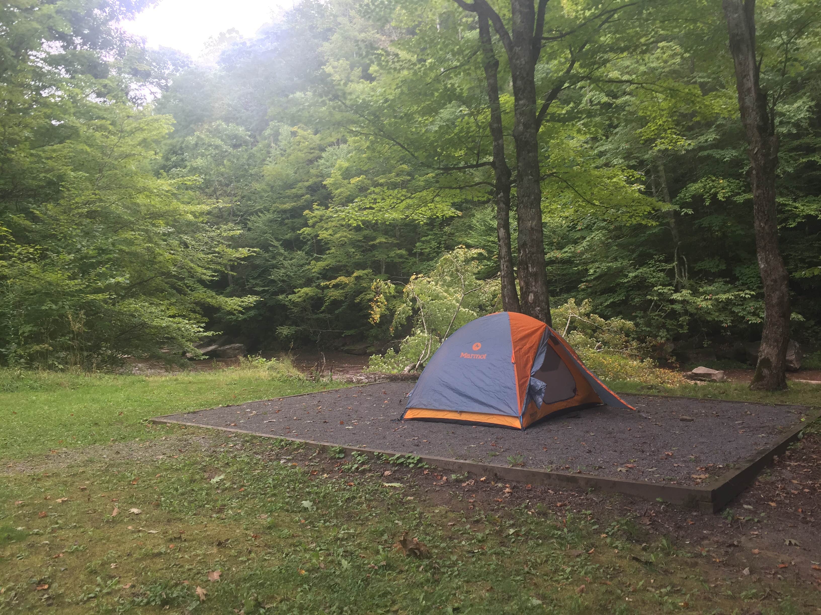 Camper-submitted photo at Tea Creek Campground near Snowshoe, WV
