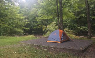 Lacey L.'s photo at Tea Creek Campground near Cass, WV