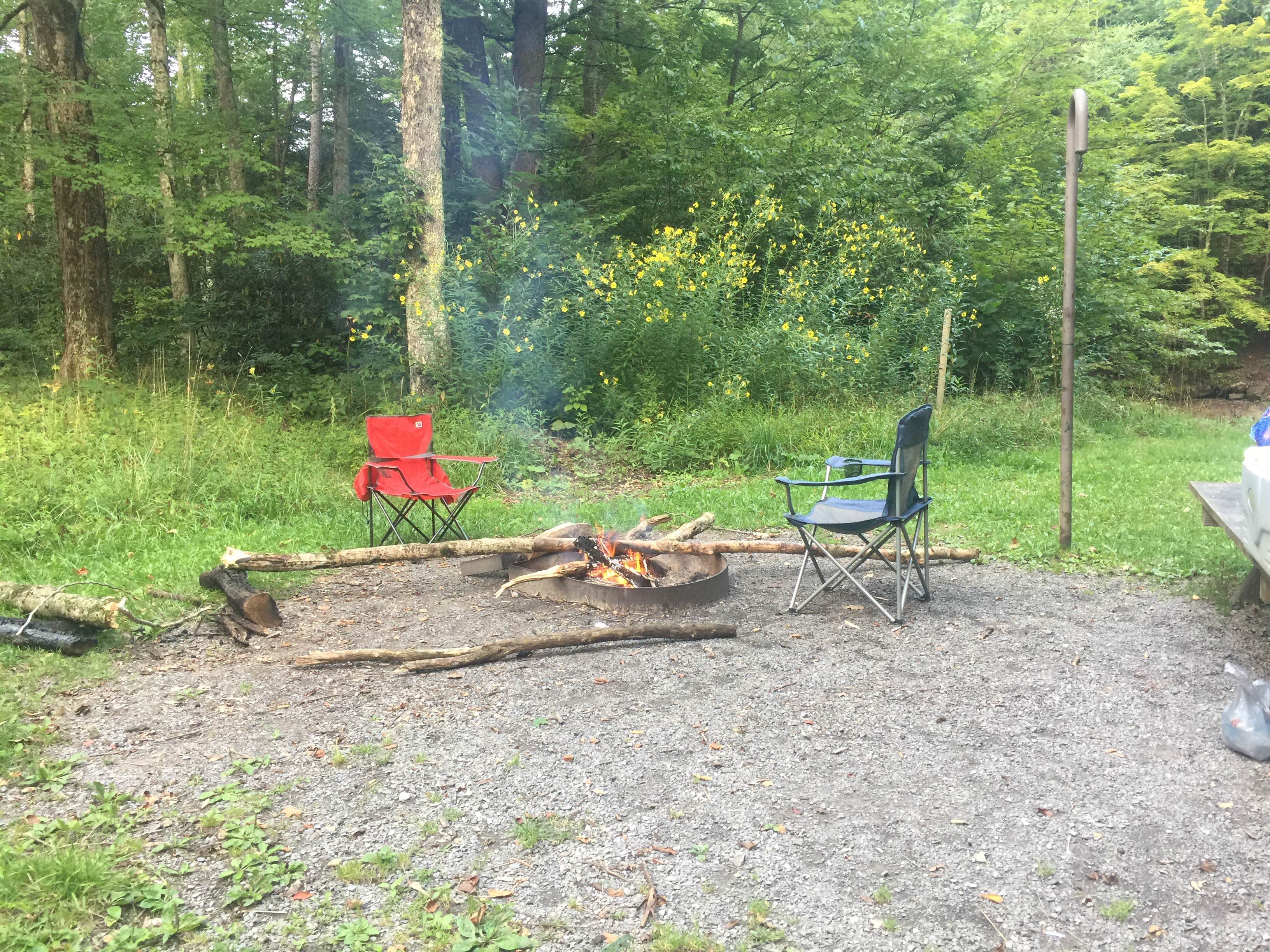 Camper-submitted photo at Tea Creek Campground near Snowshoe, WV