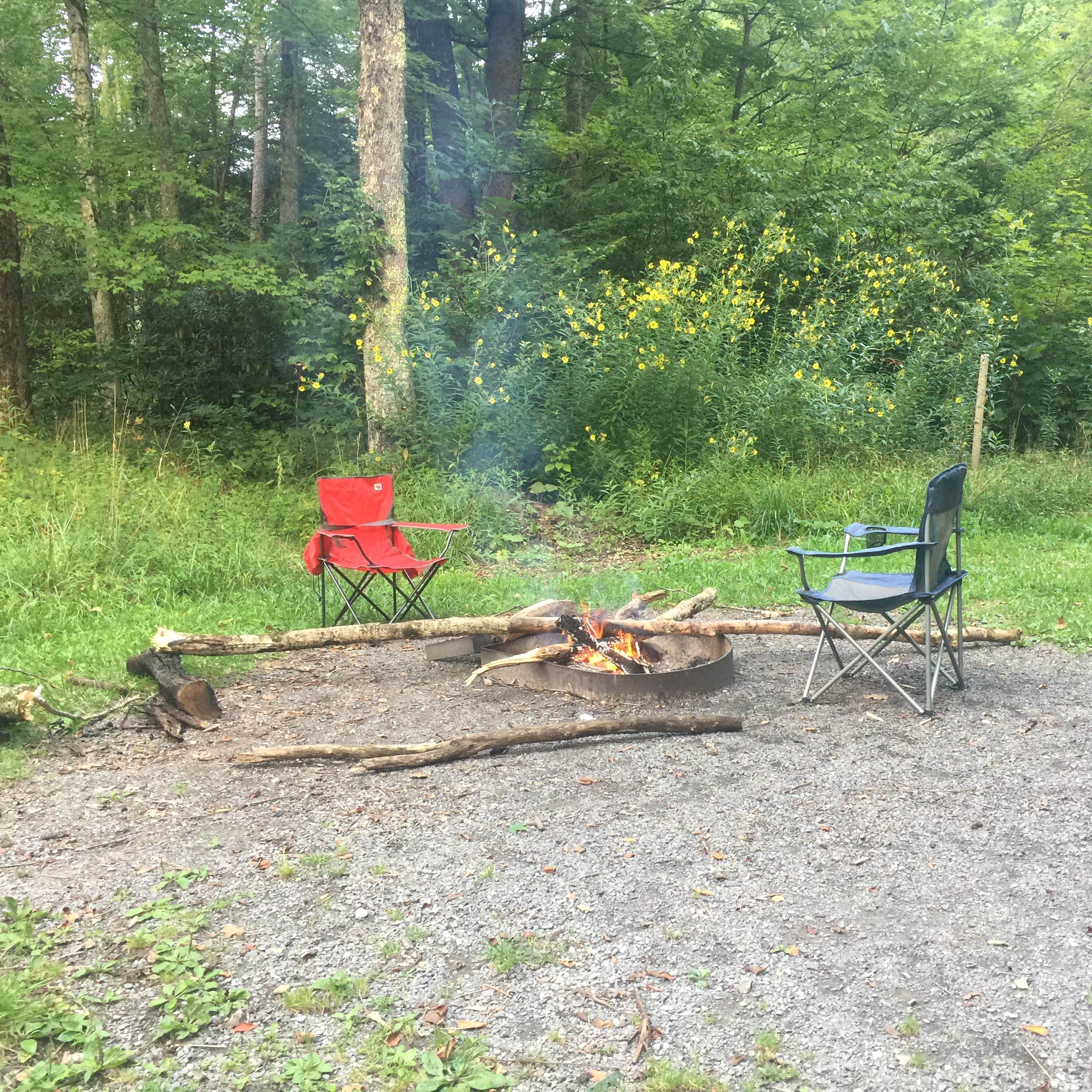 Tea Creek Campground Camping The Dyrt