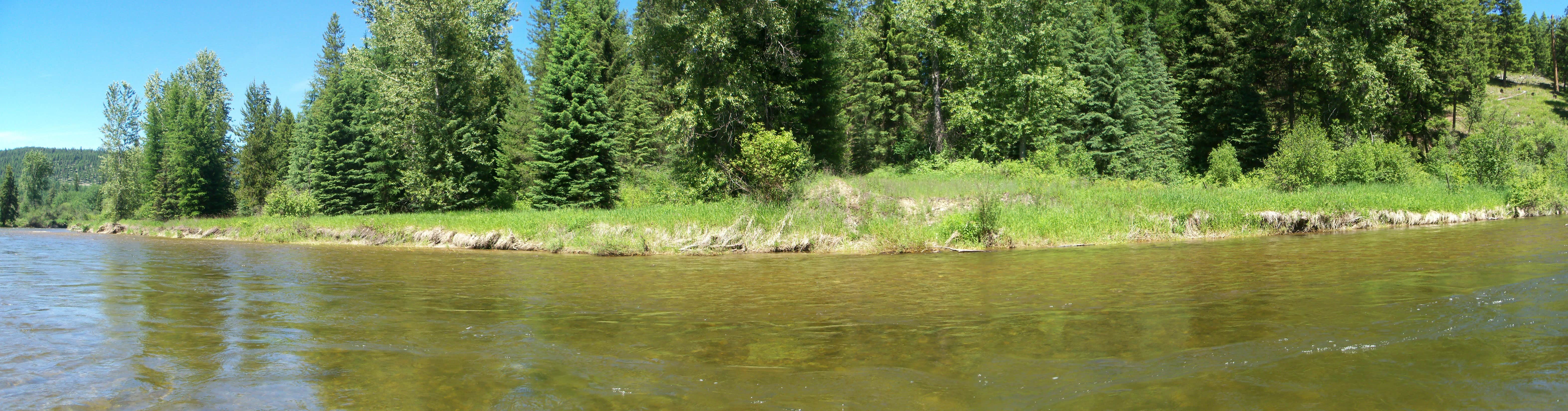 Camper-submitted photo at Lake Creek Campground near Heron, MT