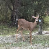 Review photo of Moss Park Campground by Jen H., April 9, 2019