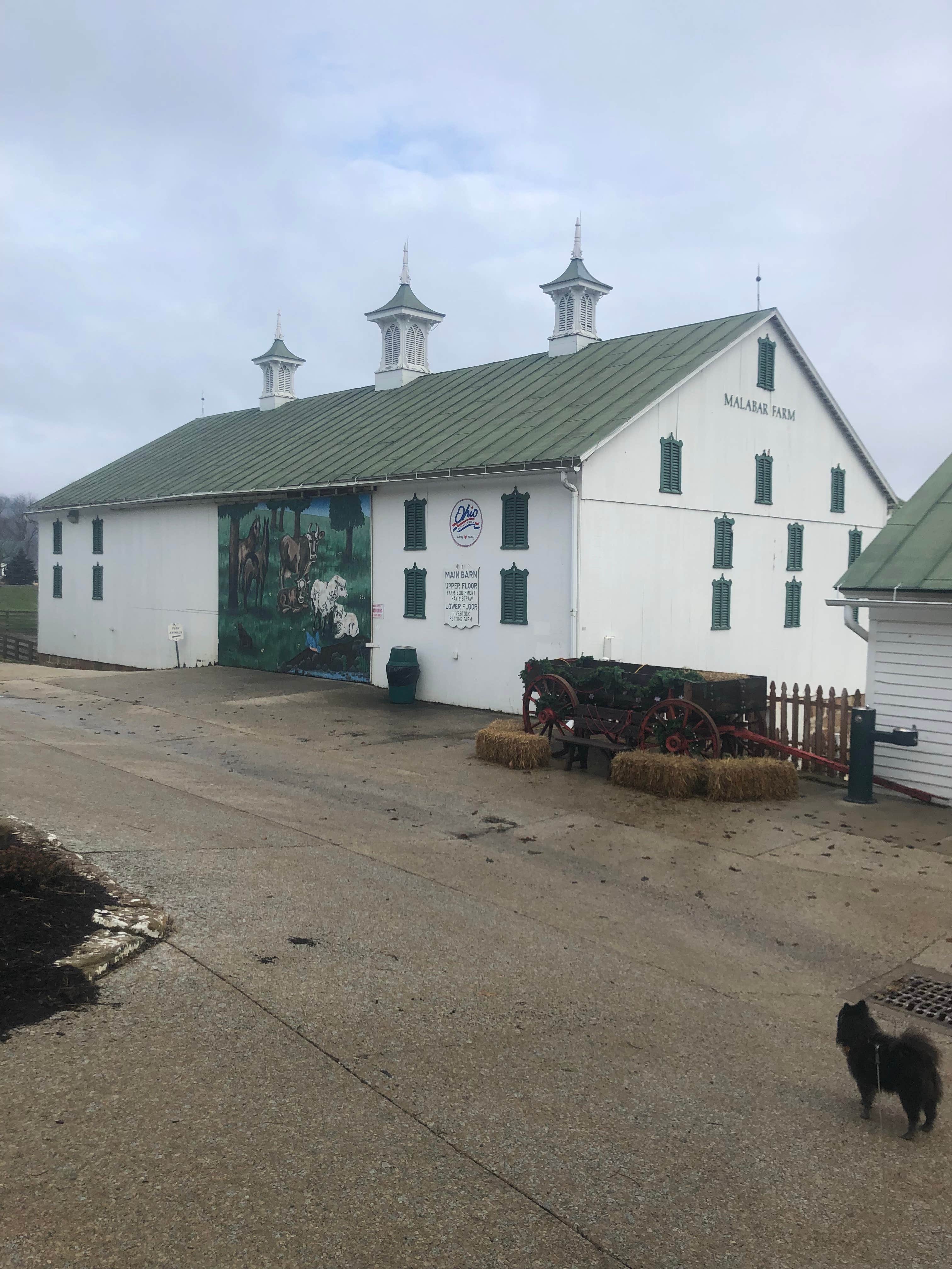 Shelly S.'s photo of camping with pets at Malabar Farm State Park Campground near Mansfield, OH