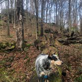 Review photo of Malabar Farm State Park Campground by Shelly S., April 9, 2019