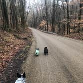 Review photo of Malabar Farm State Park Campground by Shelly S., April 9, 2019