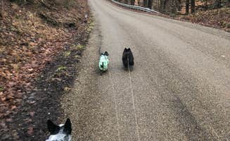 Shelly S.'s photo of camping with pets at Malabar Farm State Park Campground near Millersburg, OH