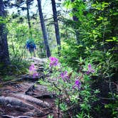 Review photo of Mount Desert Campground by Matthew S., April 9, 2019