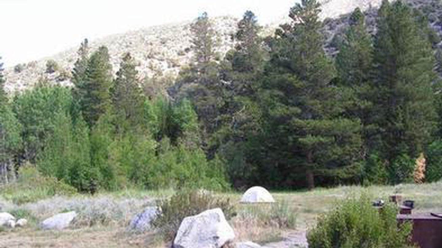 Camper submitted image from Aspen Group Campground - 1
