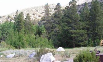 Camping near Mcgee Creek: Aspen Group Campground, Toms Place, California