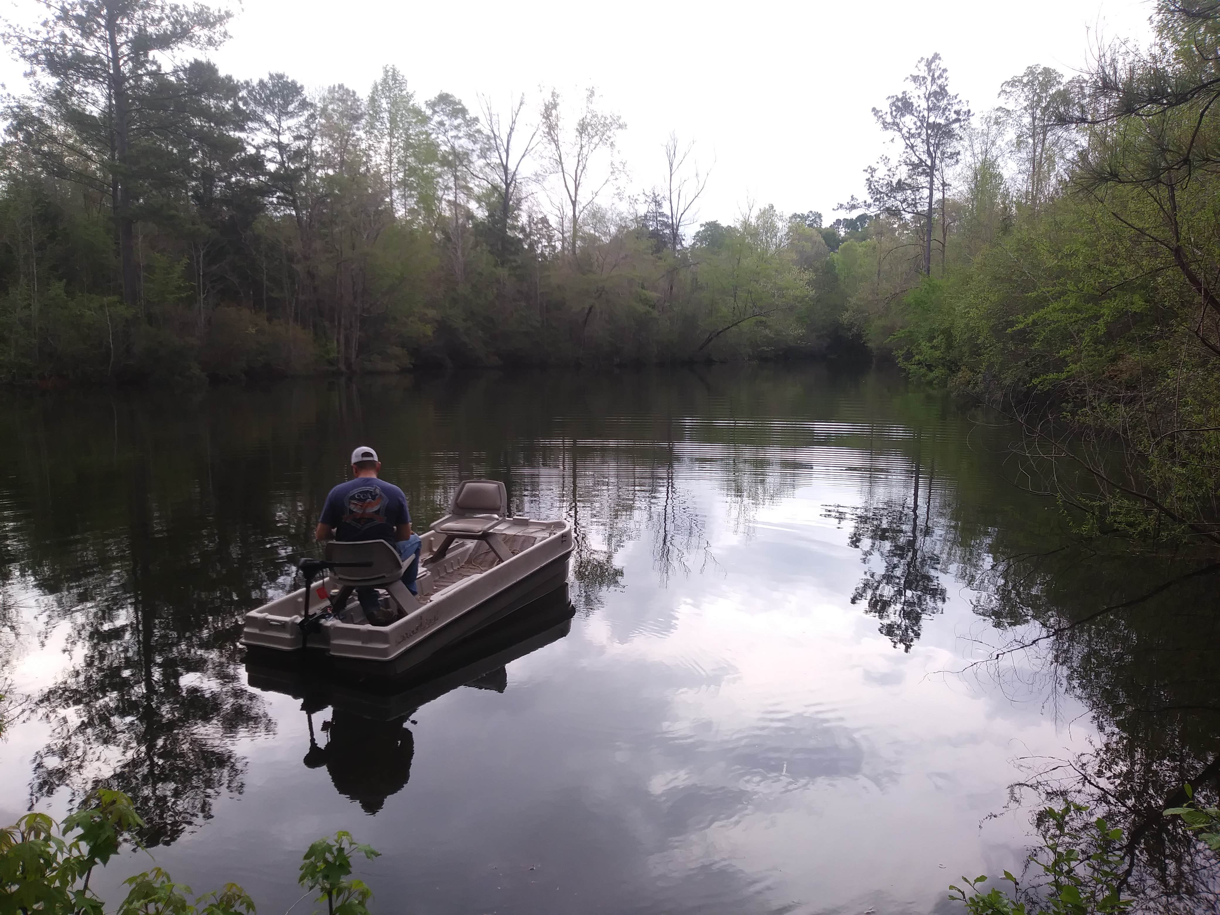 Camping near Haines Island: Murchison Farm, Camden, Alabama