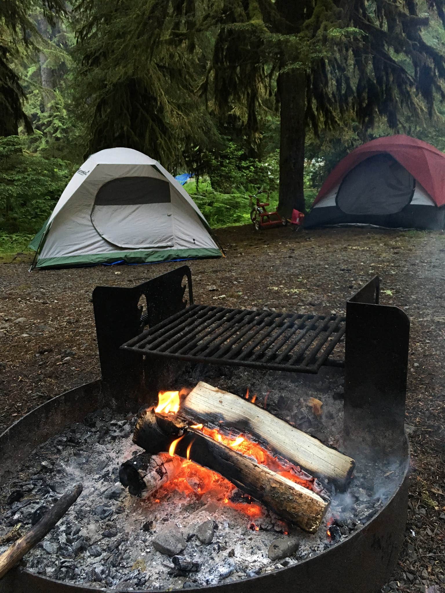 Kayla R.'s photo at Sol Duc Hot Springs Resort Campground — Olympic National Park near Sol Duc Hot Springs, WA