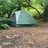 Review photo of Mora Campground — Olympic National Park by Kayla R., April 9, 2019