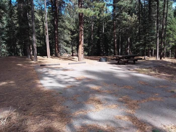 Camper submitted image from Rio De Las Vacas Campground - 2