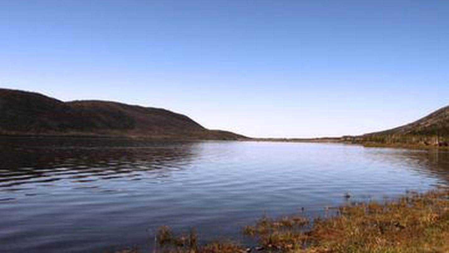 Camper submitted image from Bowery Creek - 1