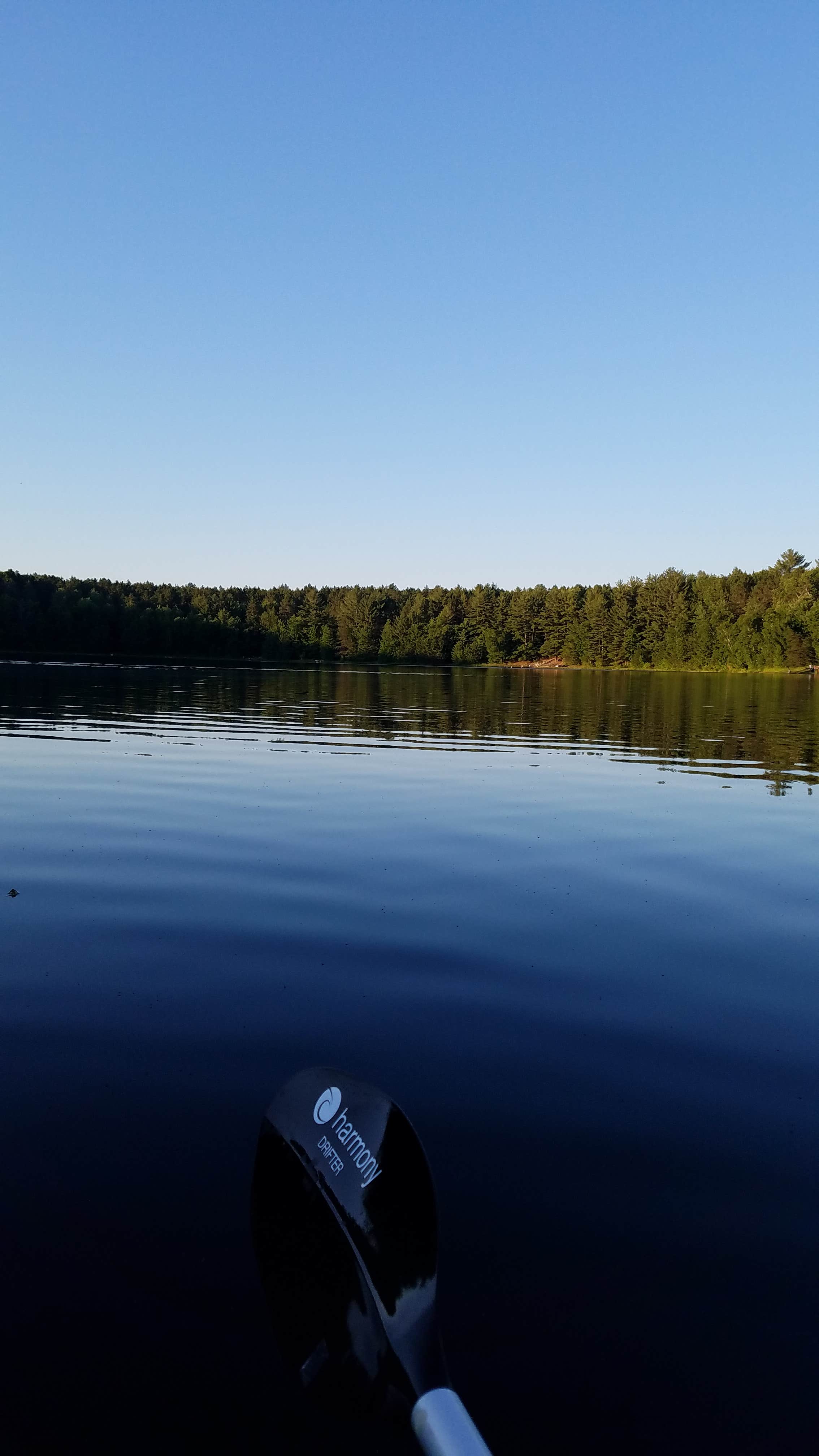 Camper submitted image from Weber Lake State Forest Campground - 3