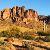 Review photo of Lost Dutchman State Park Campground by Debbie W., April 9, 2019