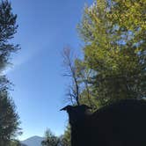 Review photo of Santiam Flats Campground by Tzvi Y., April 9, 2019