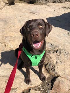 Happy boy