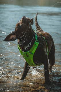 Got to play in the water