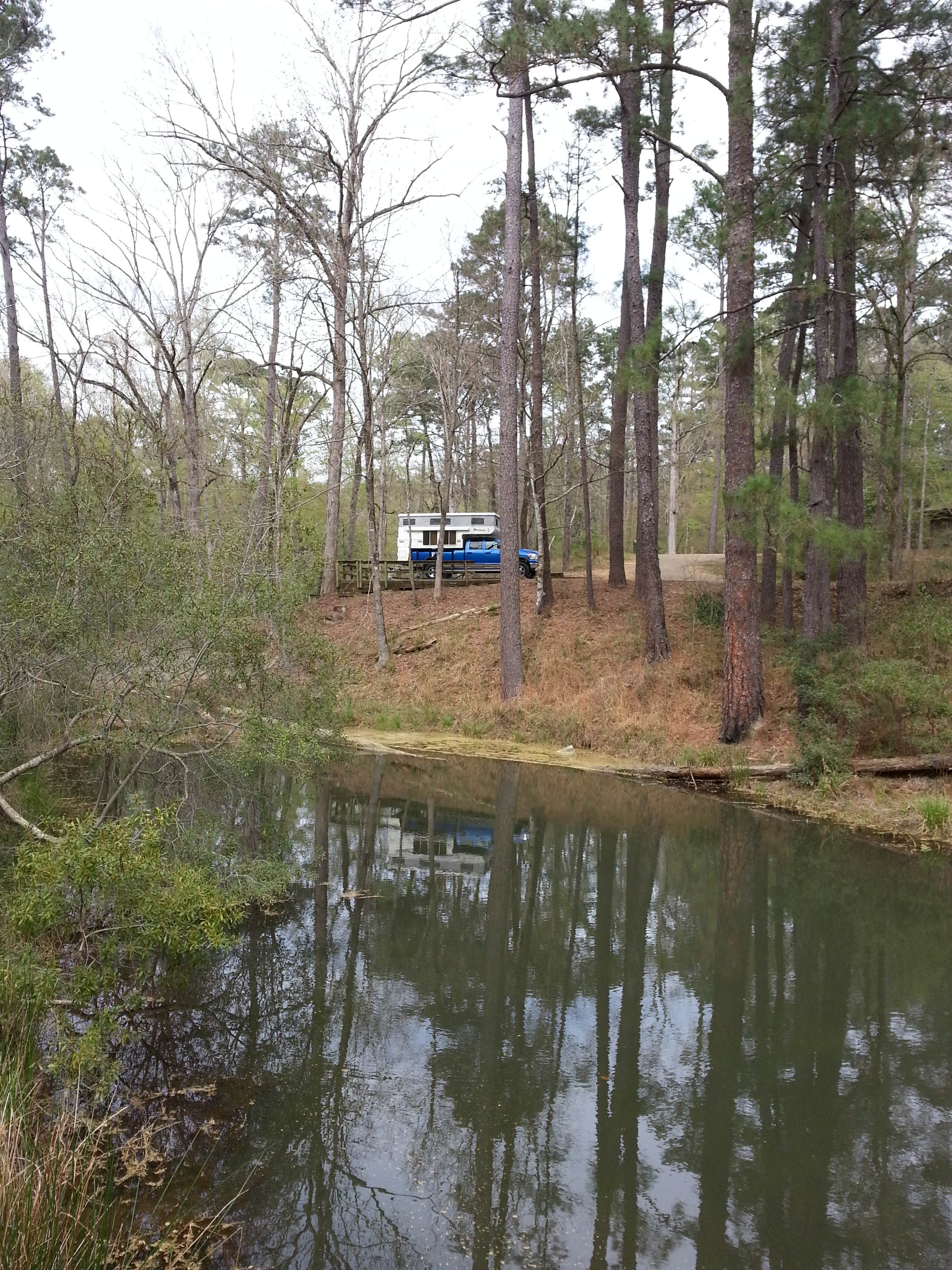 Should be rotated.  One of the sites at the park.