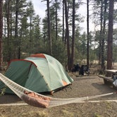 Review photo of White Spar Campground by Shirwil L., April 9, 2019