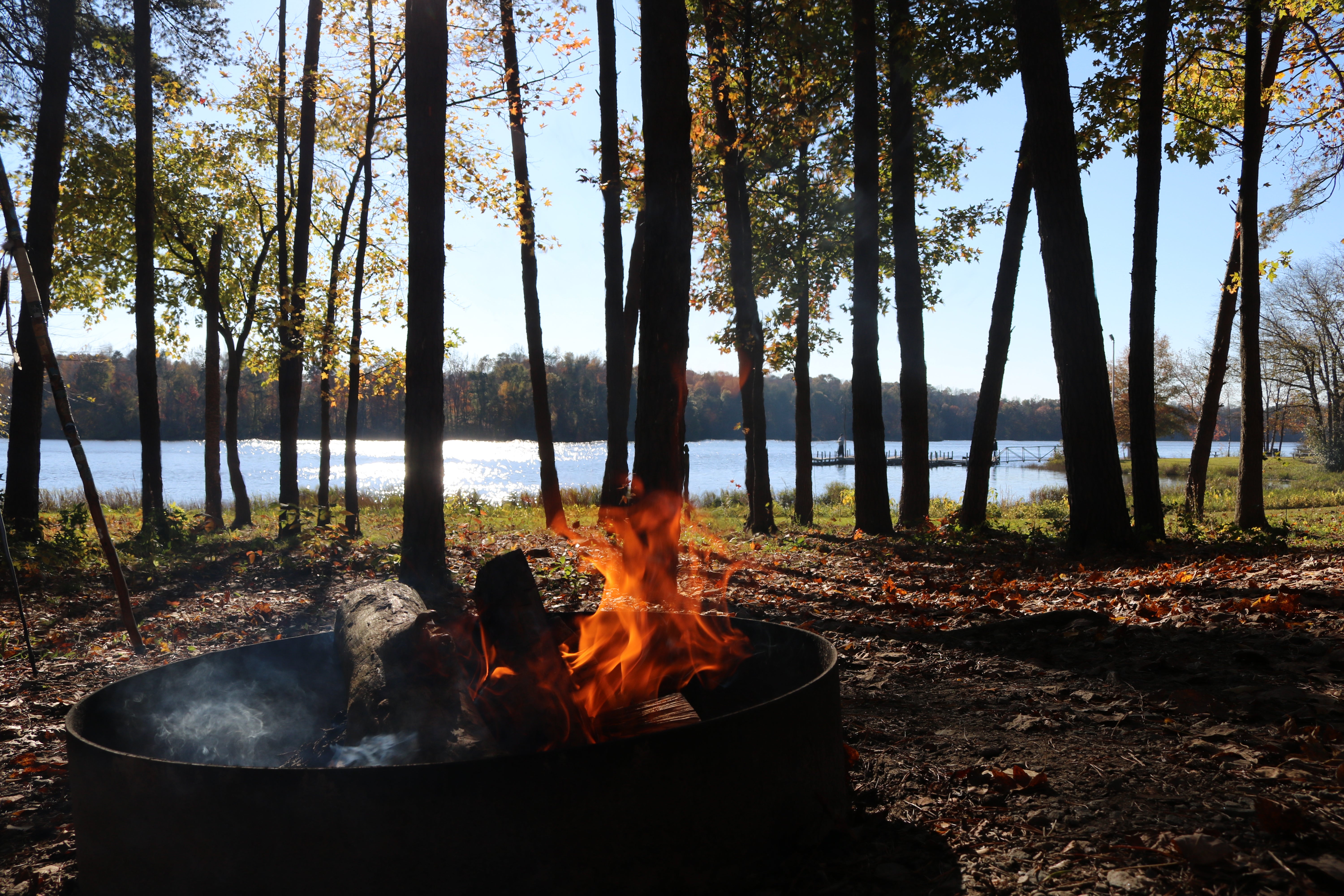 Camper submitted image from Lake Reidsville Recreation Park - 5