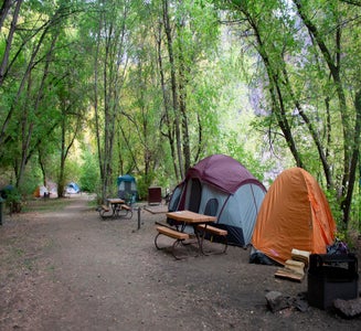 Camper-submitted photo from East Portal Campground — Black Canyon of the Gunnison National Park