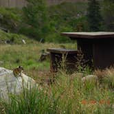 Review photo of Blue River Campground (Co) — White River National Forest by Krystal S., April 10, 2019