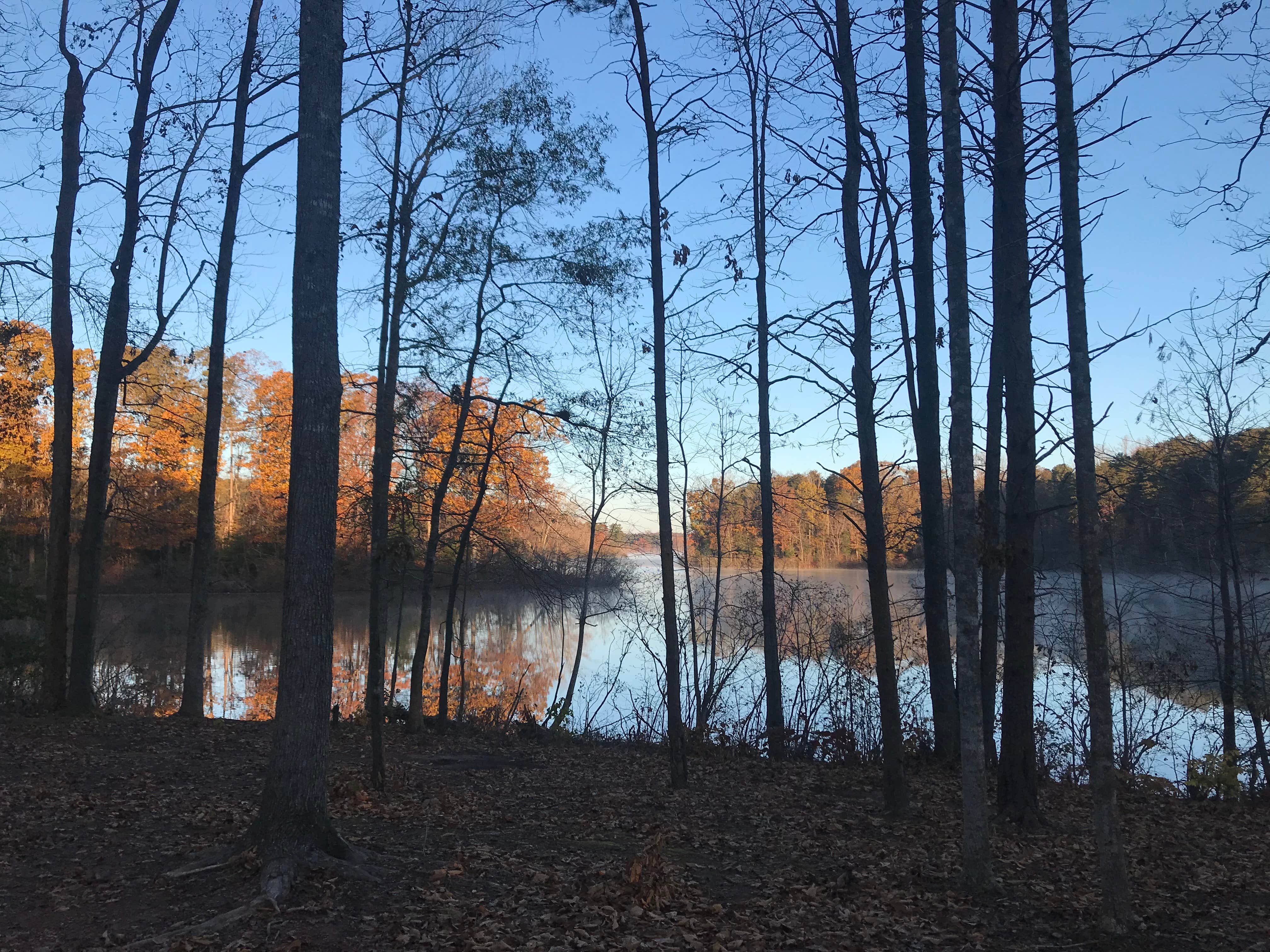 Camper-submitted photo at Mayo Lake Park near Rougemont, NC
