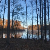 Review photo of Mayo Lake Park by Timothy W., April 10, 2019