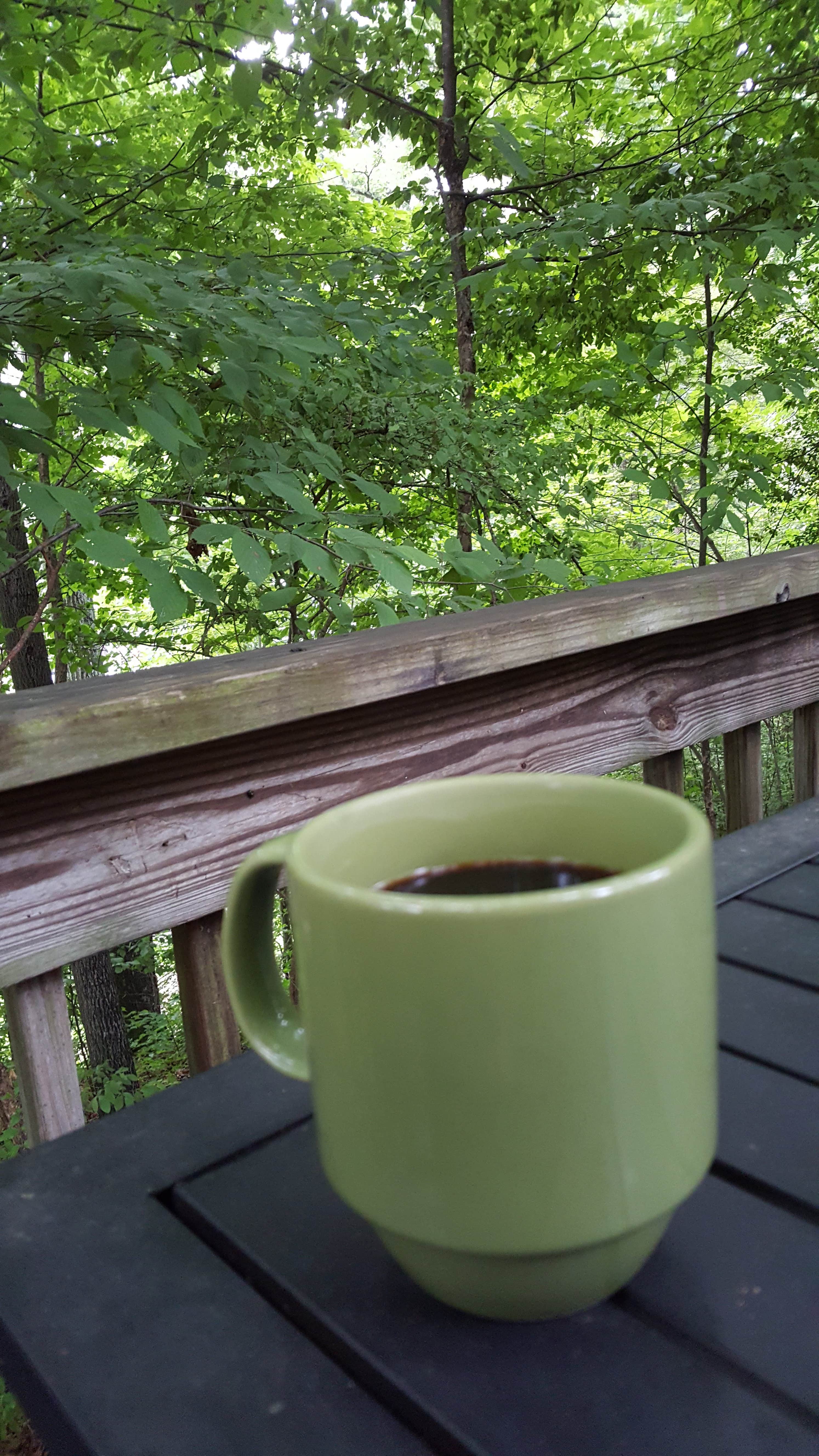 Camper-submitted photo at Asheville East KOA near Hendersonville, NC