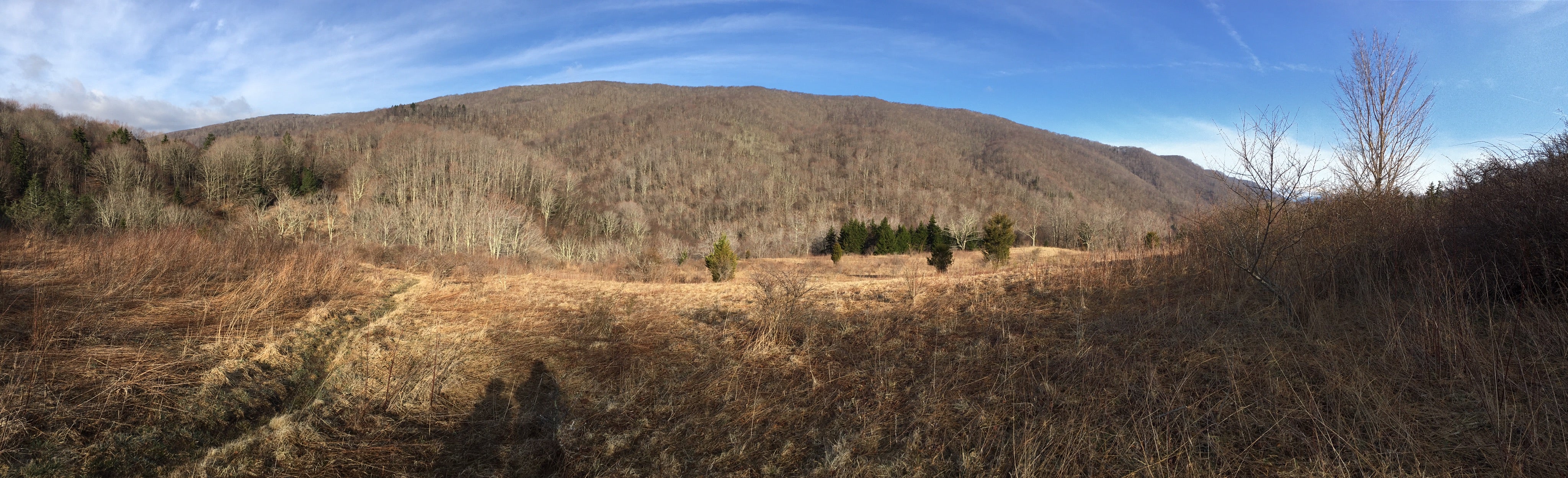 Panorama from High Meadows Trail