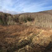 Review photo of Spruce Knob and Spruce Knob Observation Tower by Berg W., April 10, 2019