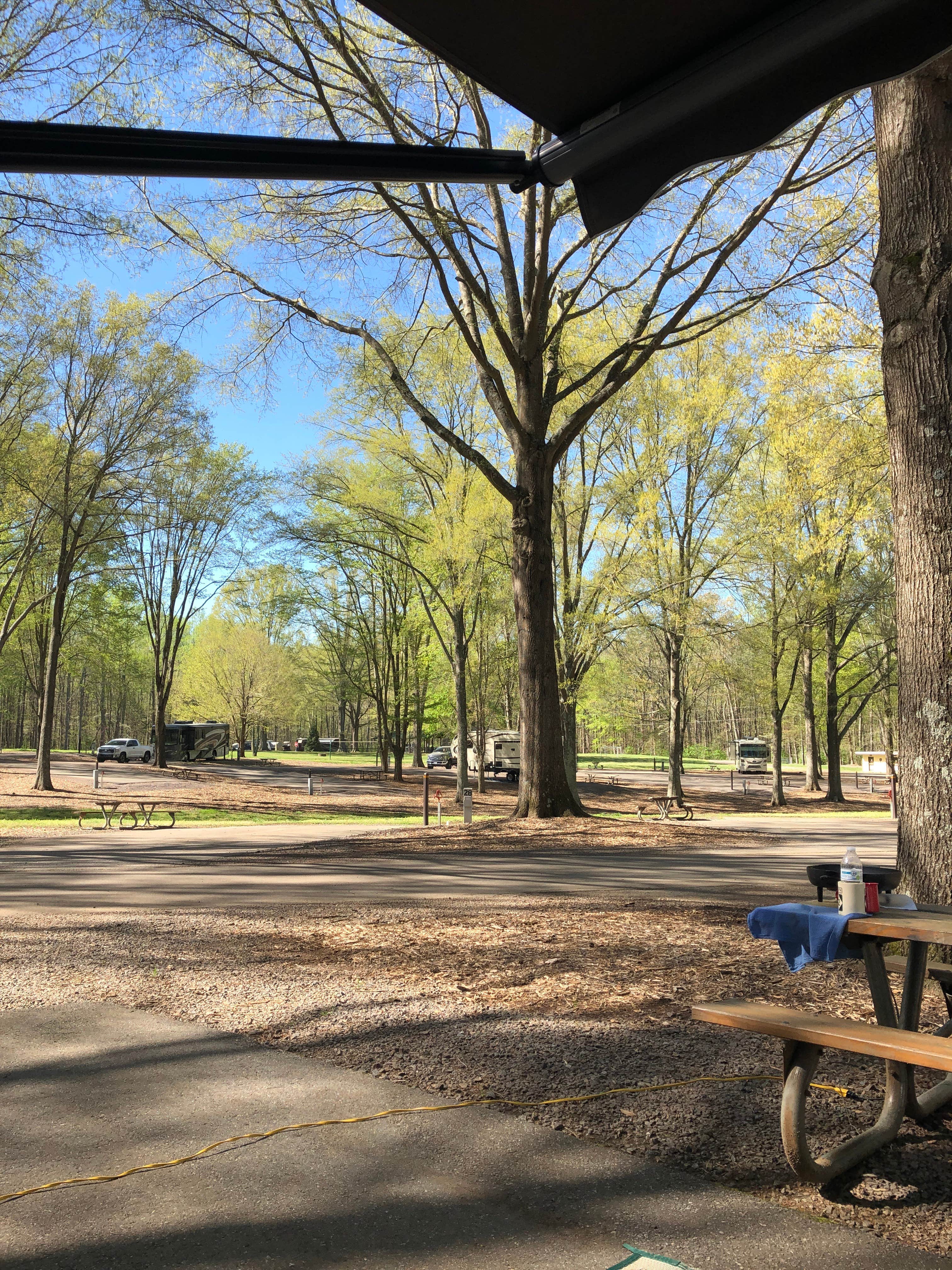 Camper submitted image from Tanglewood Park - 5