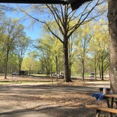 Review photo of Tanglewood Park by Kristy Gary B., April 9, 2019