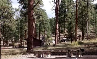 The Dyrt's photo of glamping accommodations at Paliza Campground near Lindrith, NM