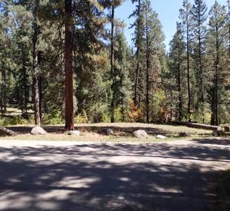 Camper-submitted photo from Rio De Las Vacas Campground